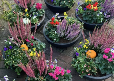 De bloempotten zijn weer gevuld